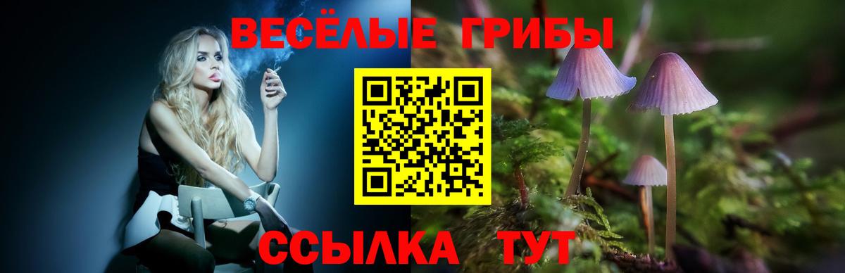 Красный Сулин  Псилоцибиновые грибы GOLDEN TEACHER  Вход с VPN  где можно купить наркотик  Галлюциногенные грибы Psilocybine cubensis 